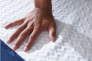 Sleep Dog Azul Mattress Review